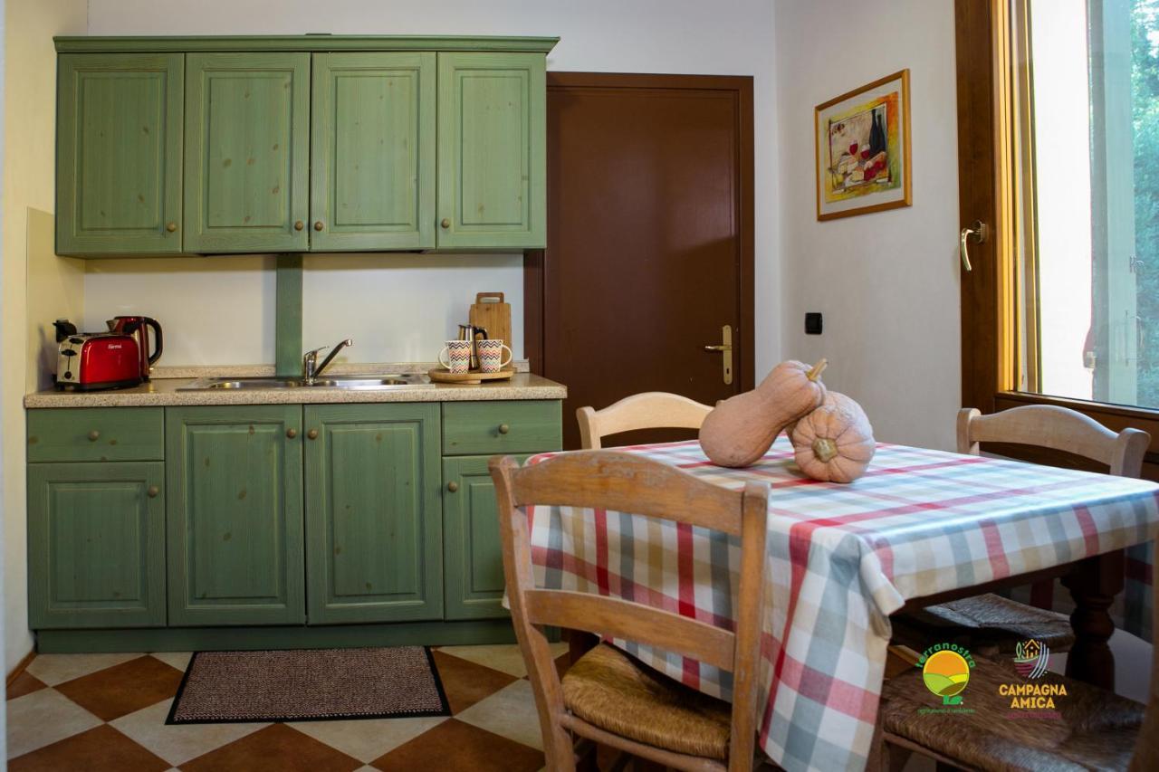 Ferienwohnung La Via Antiga Cittanova  Exterior foto